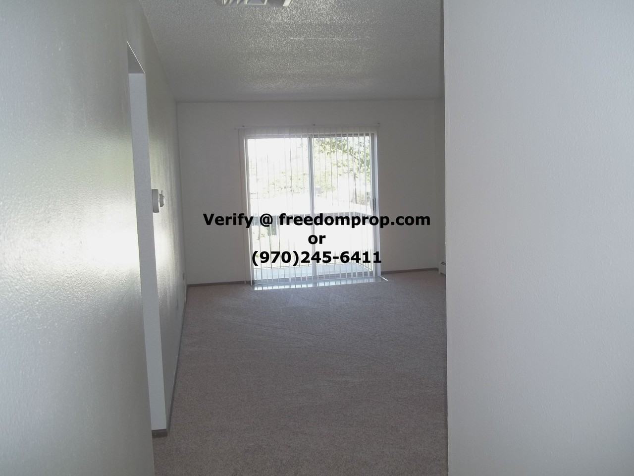 1300 N 21st Street 304 - Photo 3 of 6