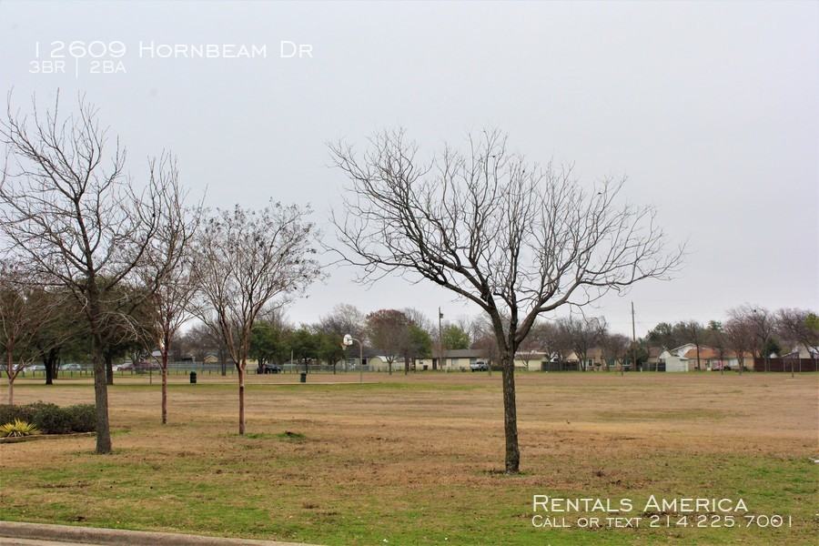 12609 Hornbeam Dr - Photo 2 of 20