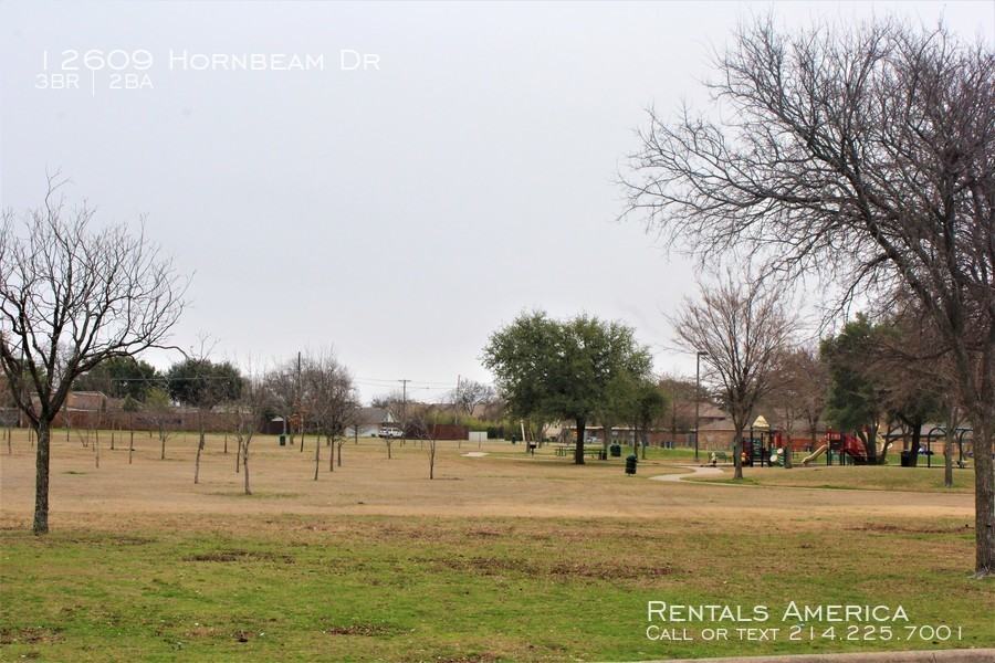 12609 Hornbeam Dr - Photo 3 of 20