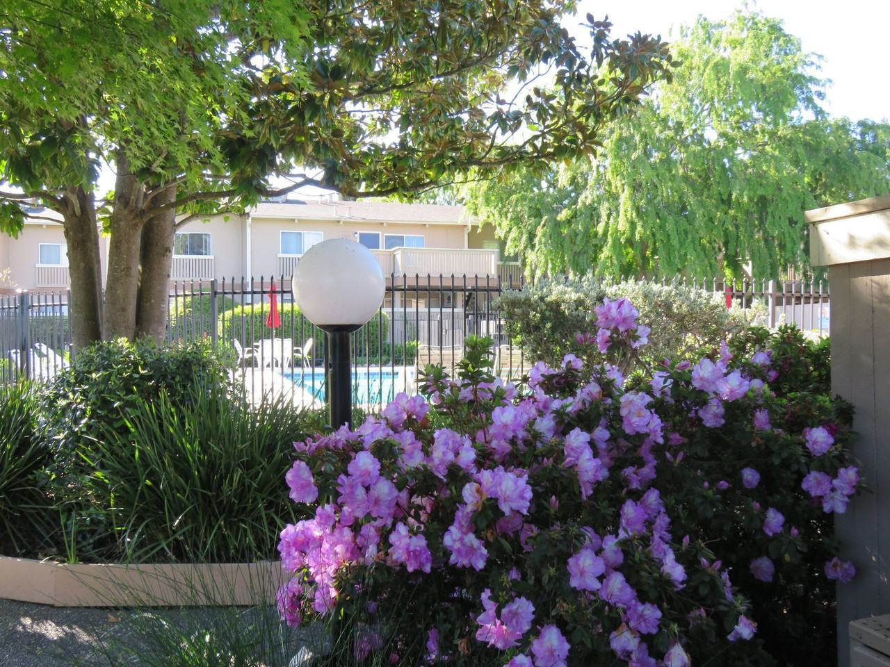 Country Club Apartments - Photo 2 of 21