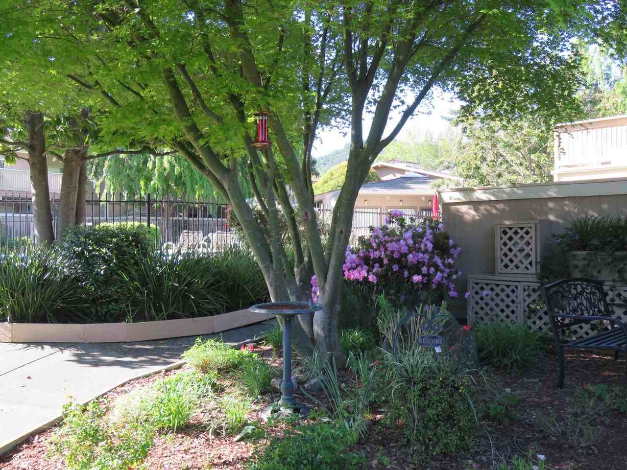 Country Club Apartments - Photo 3 of 21