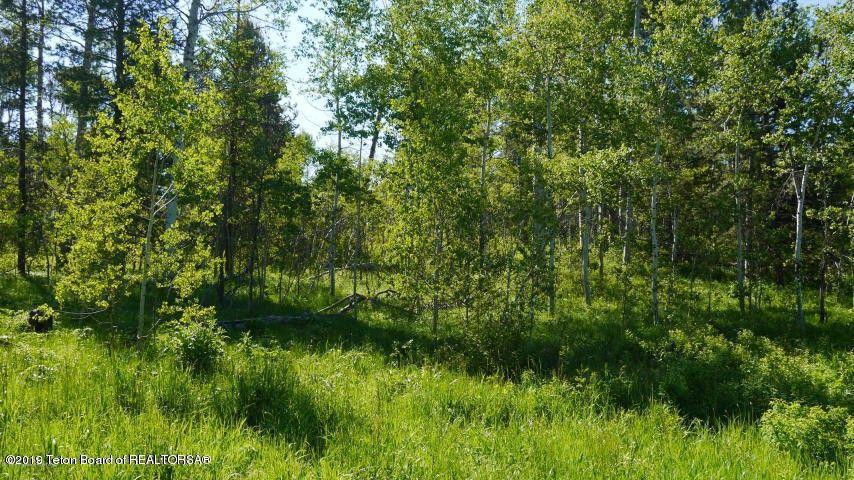 329 Wolverine Way - Photo 2 of 41