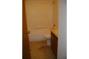 Springtree Apartments - Photo 3 of 42