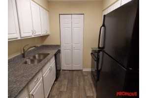 Ashford Lake - Photo 3 of 9