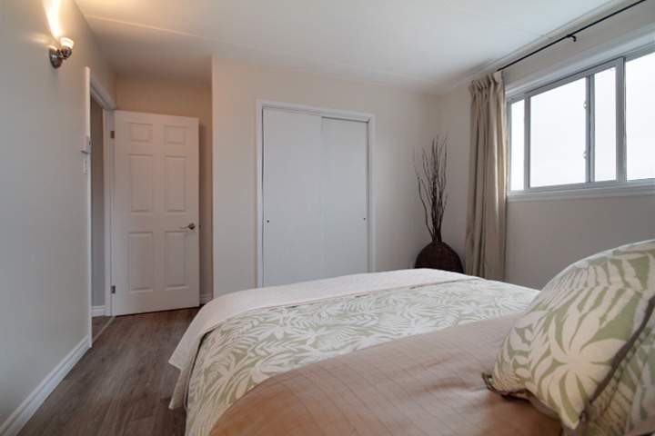 Patelin - Photo 3 of 5