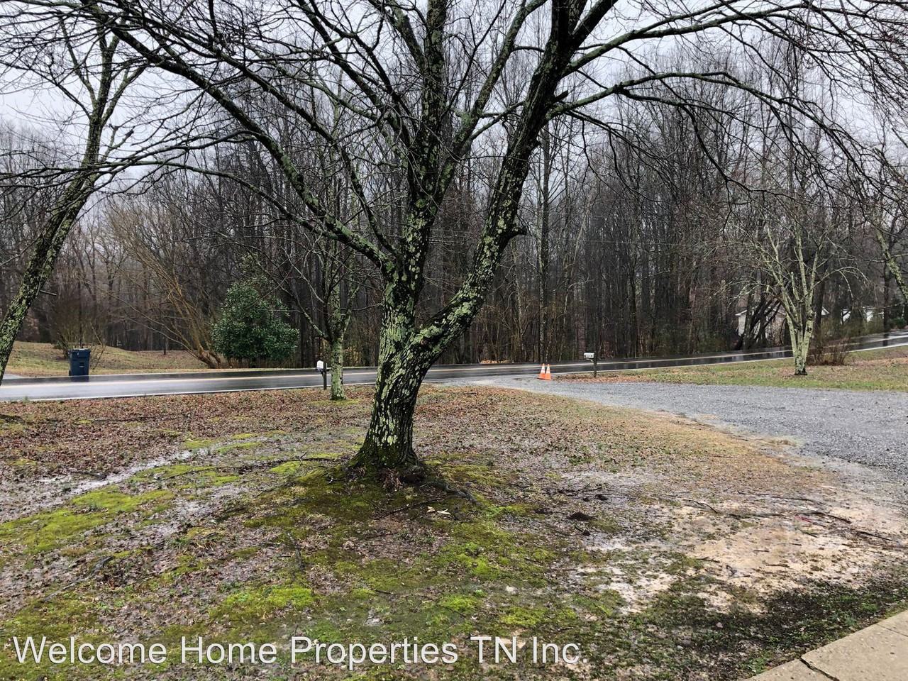 171 Flat Ridge Road - Photo 3 of 14