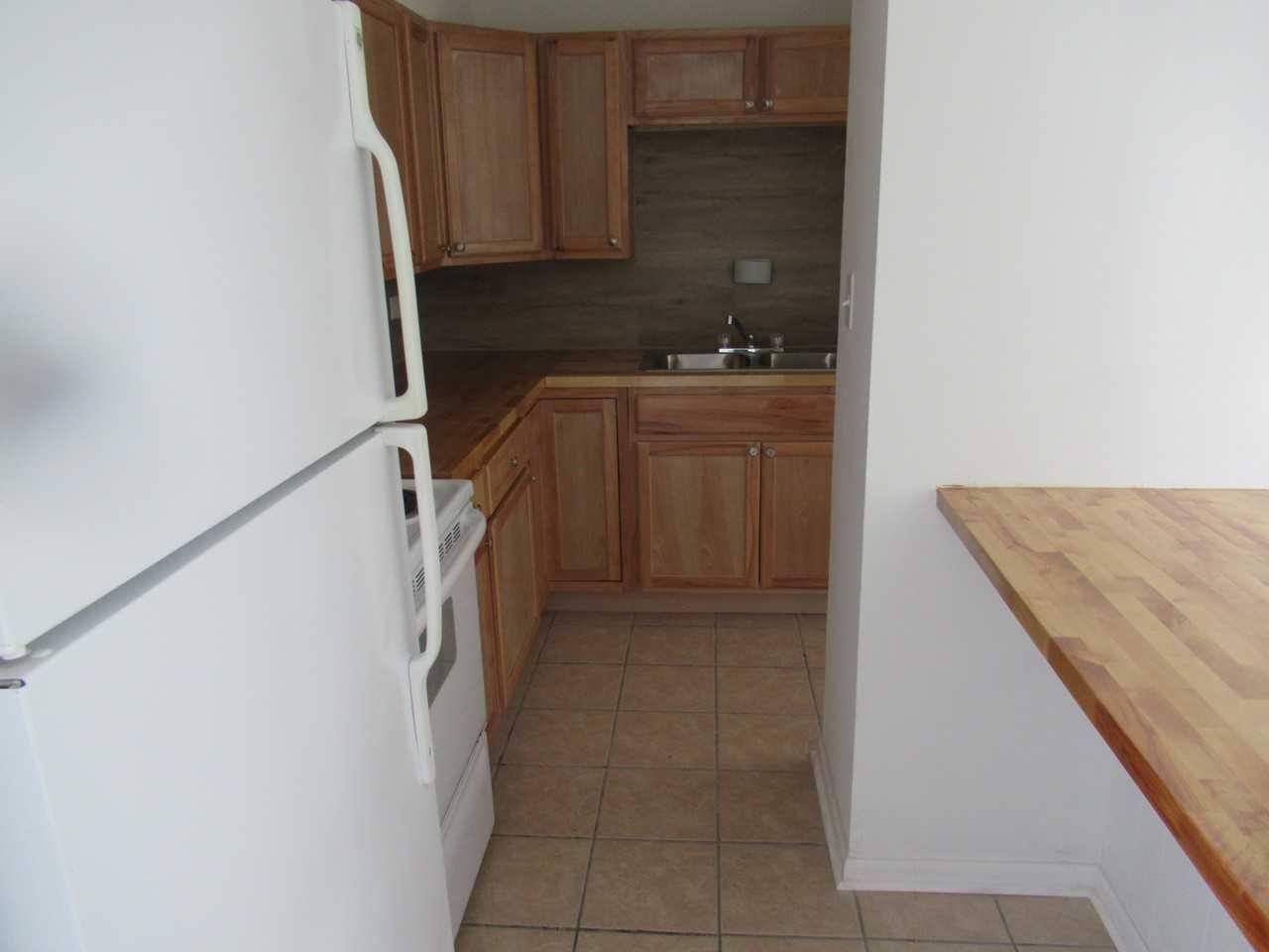 2624 Marigold Drive - Photo 3 of 8