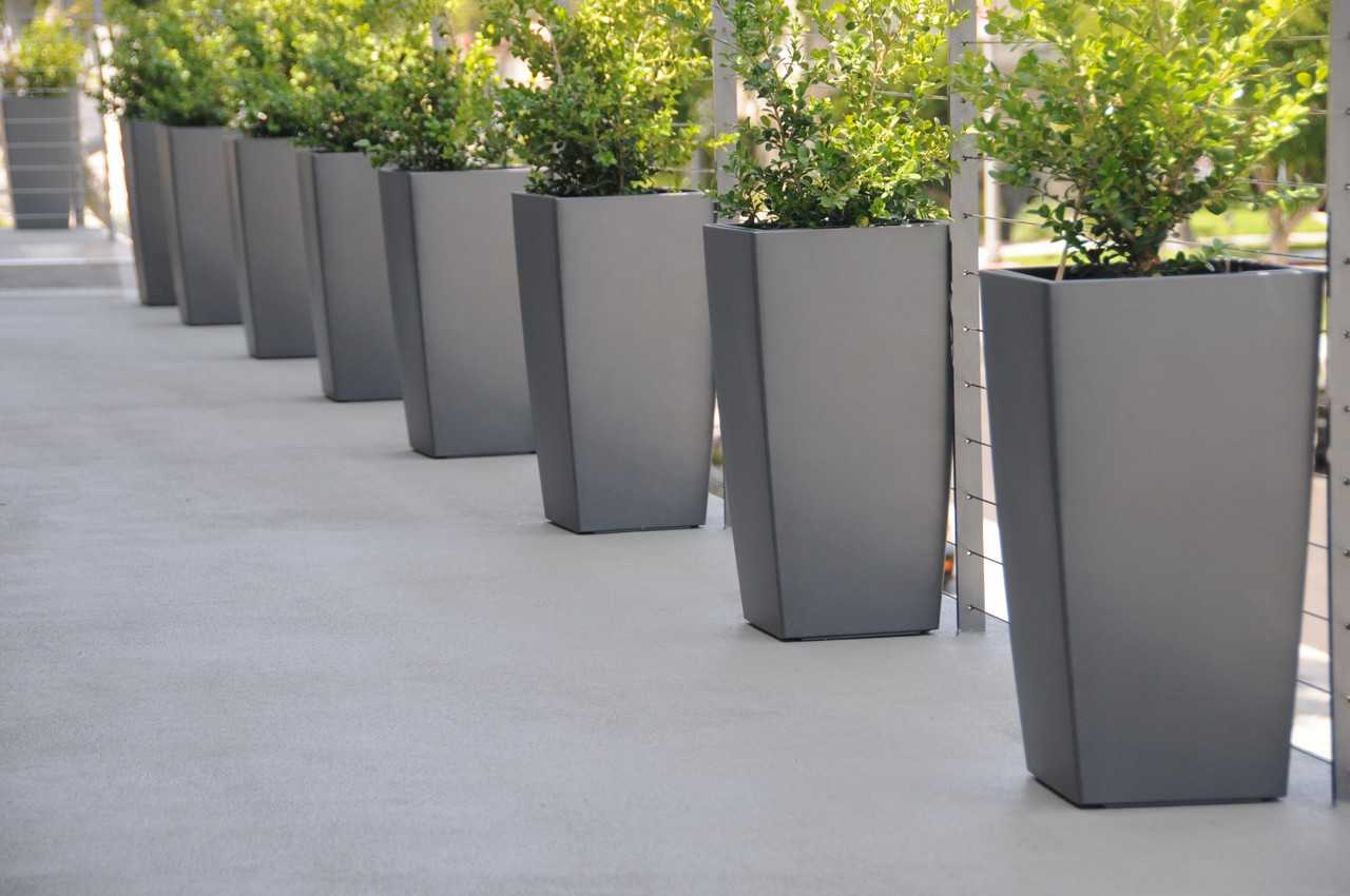 9100 Whitworth Drive - Photo 6 of 23