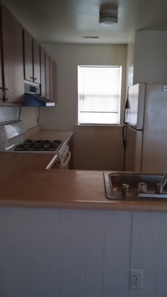 300 Silver Run Terrace - Photo 3 of 10