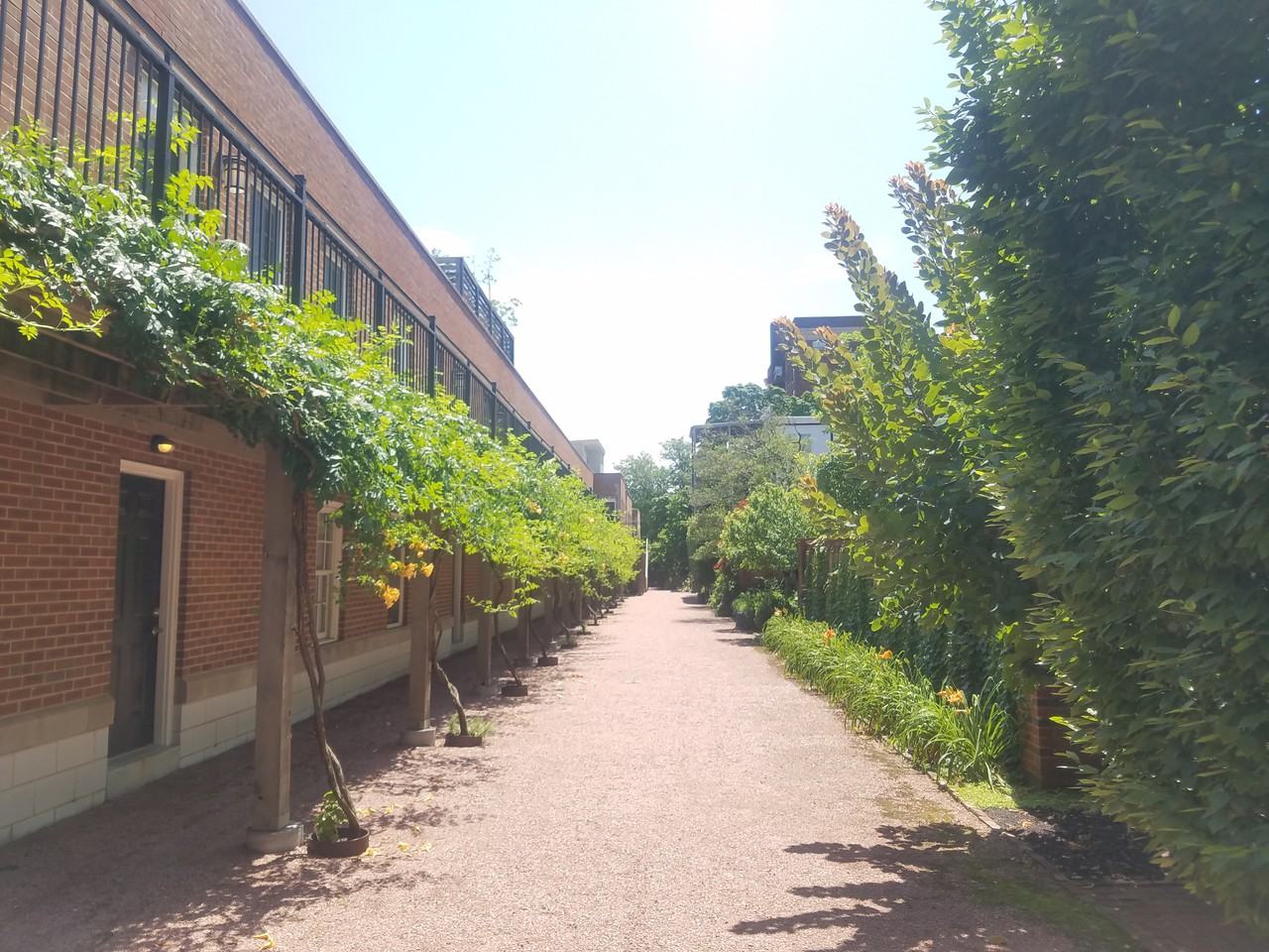Carriage Lane Condos Apartments 27 Maryland Plaza, St. Louis, MO