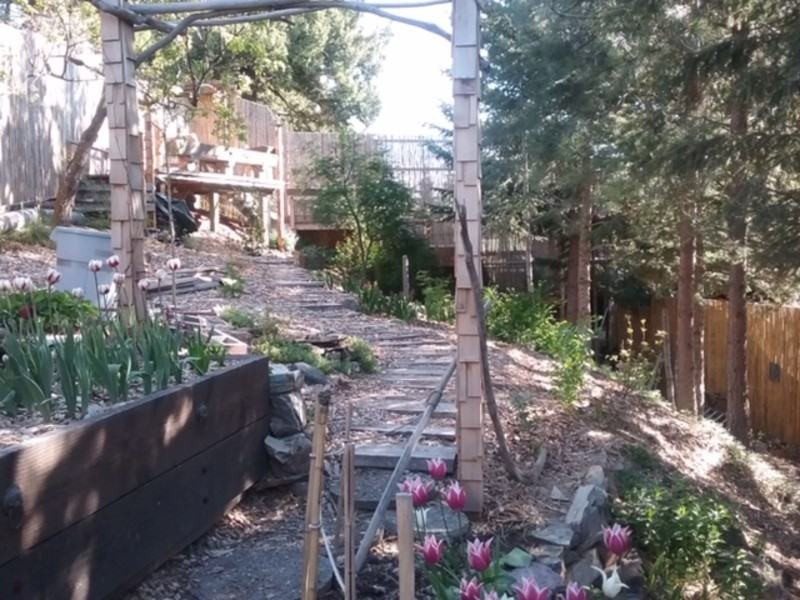 220 Lake Hills Ct - Photo 3 of 21