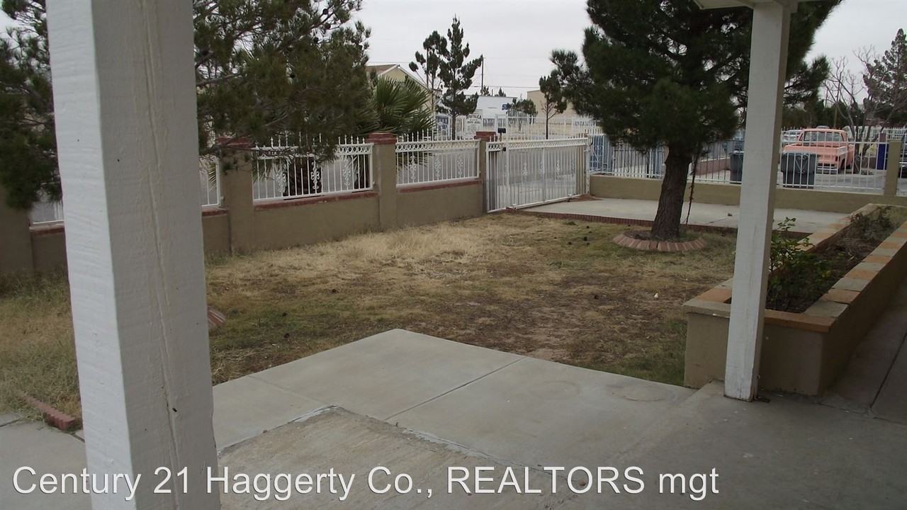 5624 Saluki - Photo 2 of 15