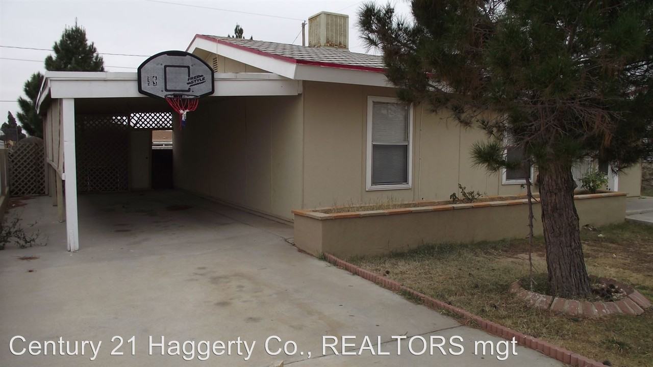 5624 Saluki - Photo 3 of 15