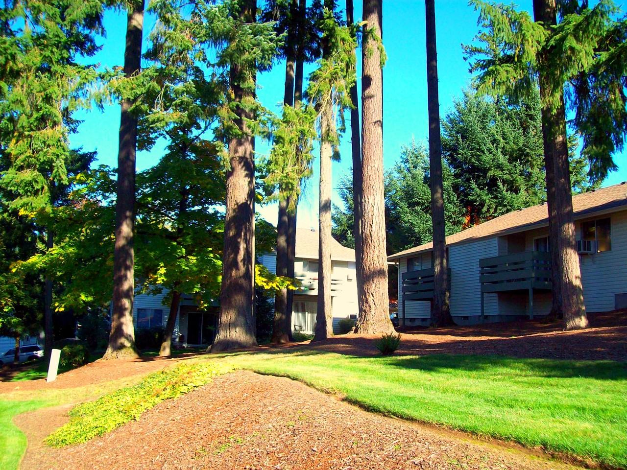 109th SW 109th Ave - Photo 2 of 23