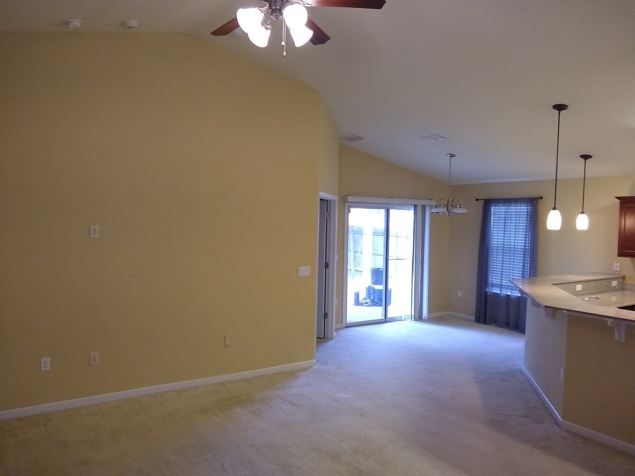 770 Forgotten Creek Ln - Photo 3 of 6