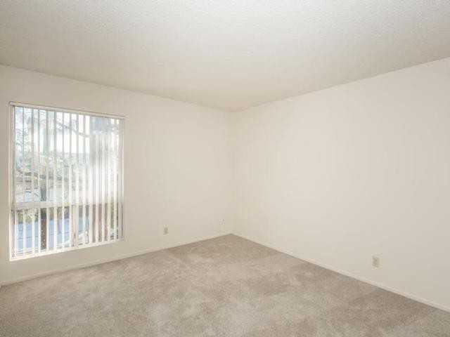 3553 Emerald Street - Photo 4 of 12