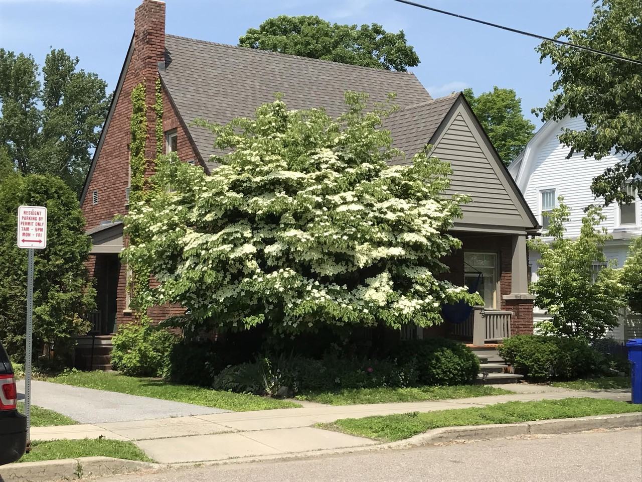 25 Mansion Street - Photo 2 of 50