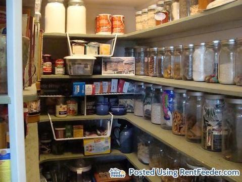 26736 Light Ln - Photo 3 of 15