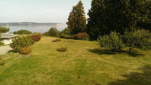 6237 Walnut Way - Photo 3 of 45