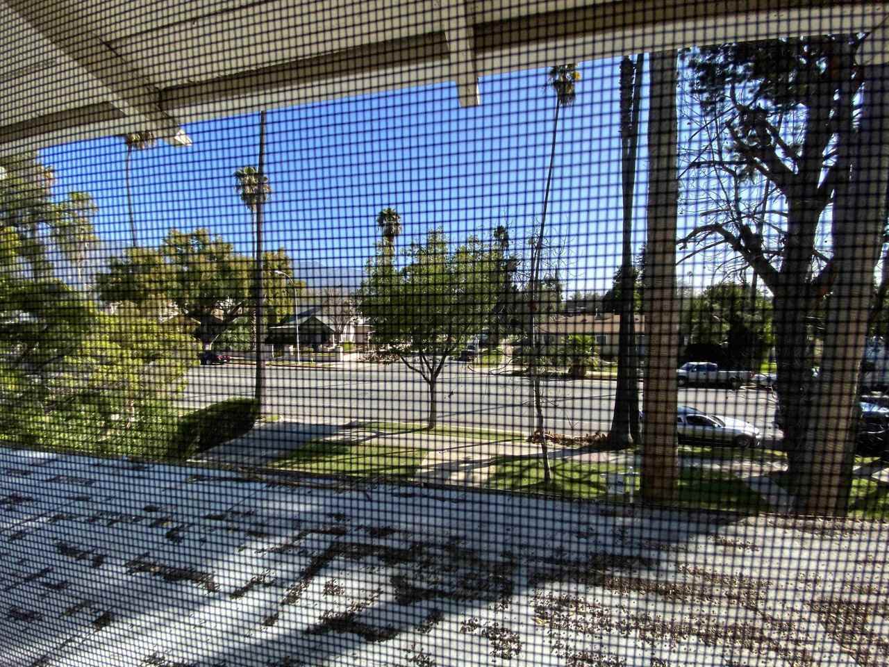 1101 N Los Robles Ave - Photo 2 of 9