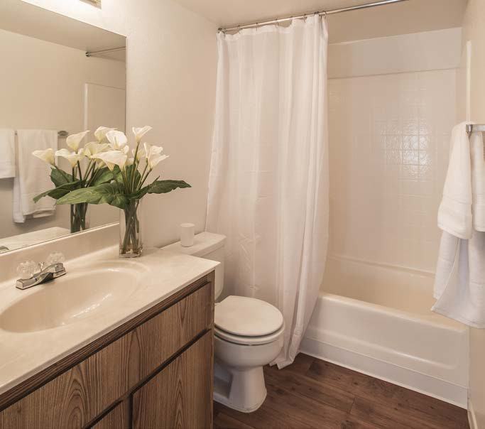 Glen at Mesa - Photo 7 of 41