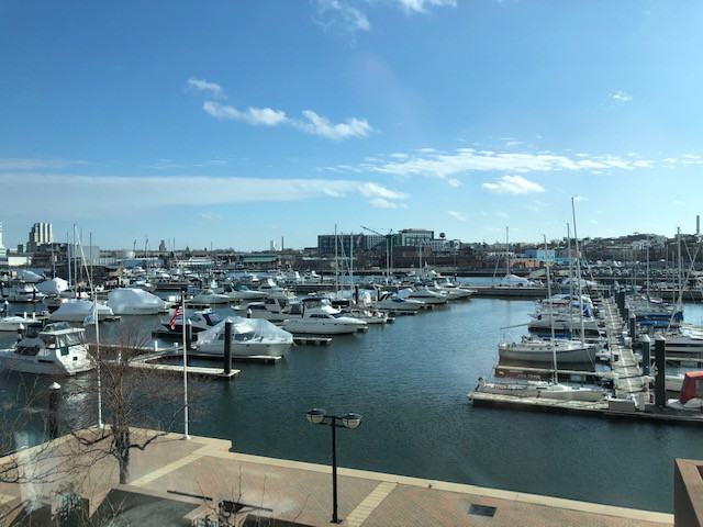 100 Harborview Drive #204 - Photo 2 of 8