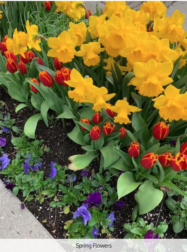 250 Heath Street West #901 - Photo 2 of 6