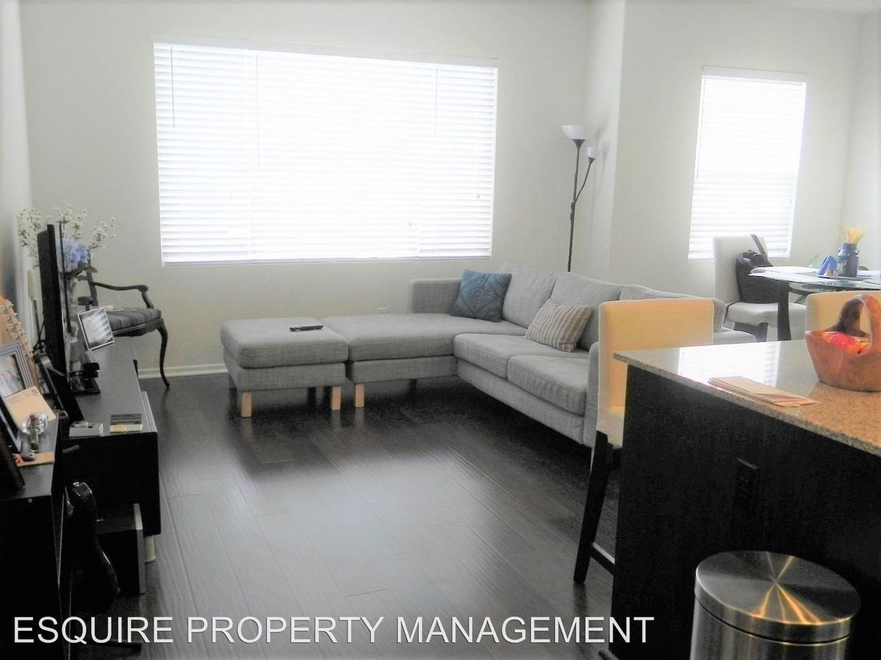 315 American River Ct - Photo 2 of 14