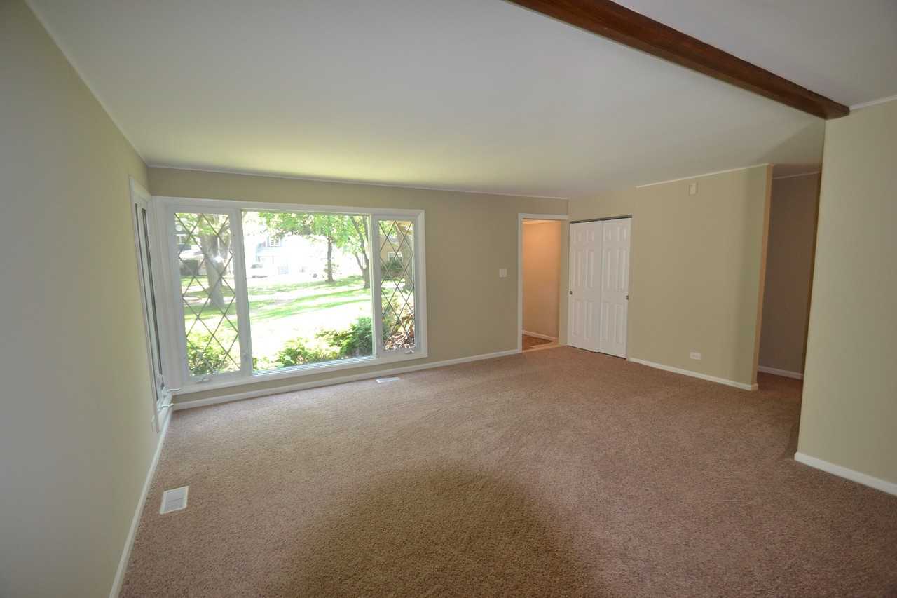 3111 Thrush Ct - Photo 3 of 9
