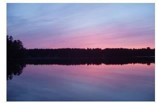 305 Round Pond Road - Photo 3 of 12