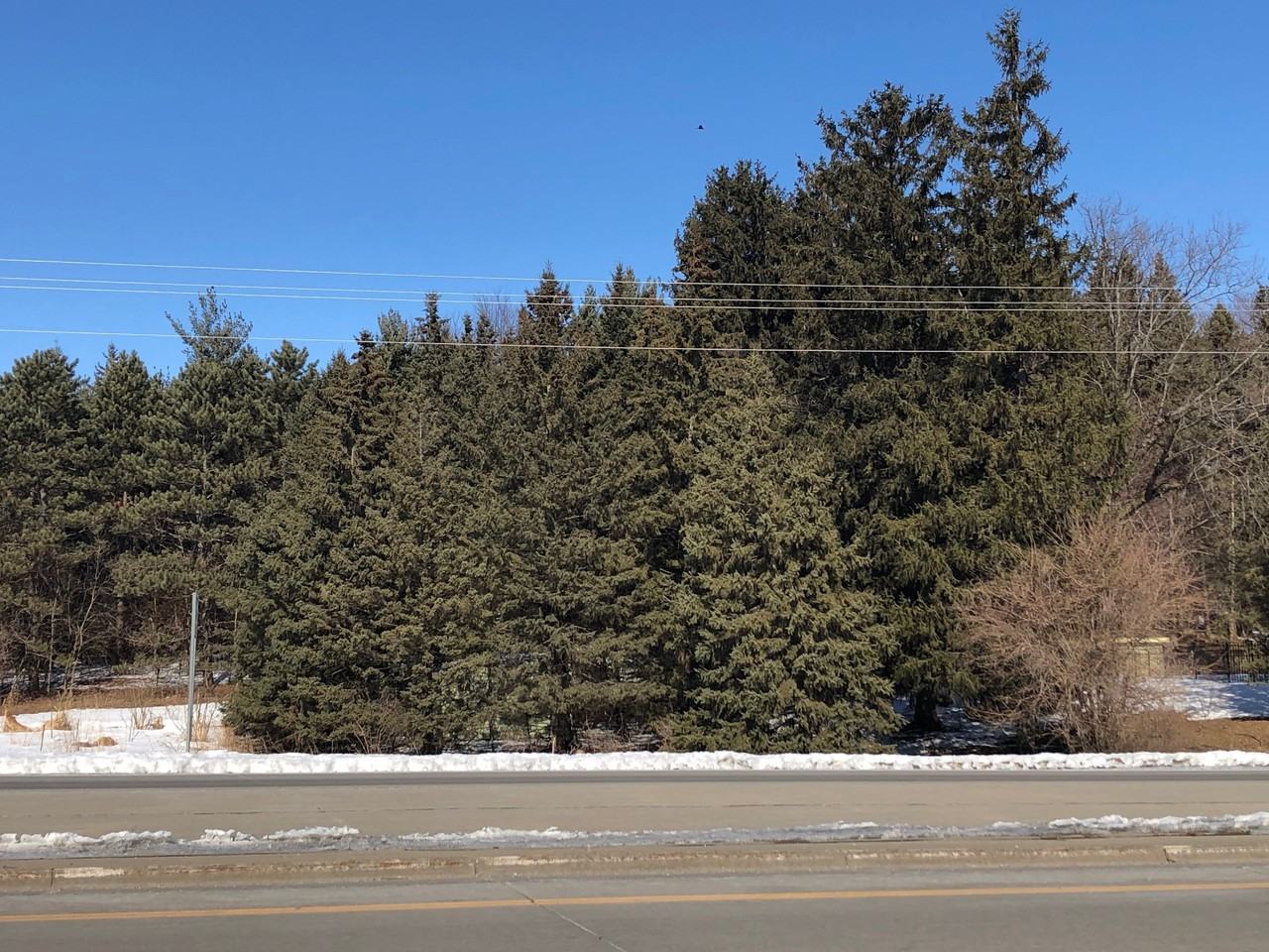 2989 75th St Nw - Photo 3 of 31