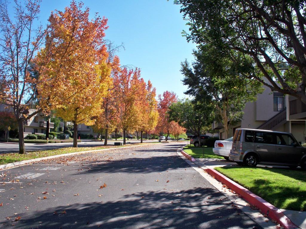 Reservoir Dr & Reservoir Ln - Photo 3 of 30