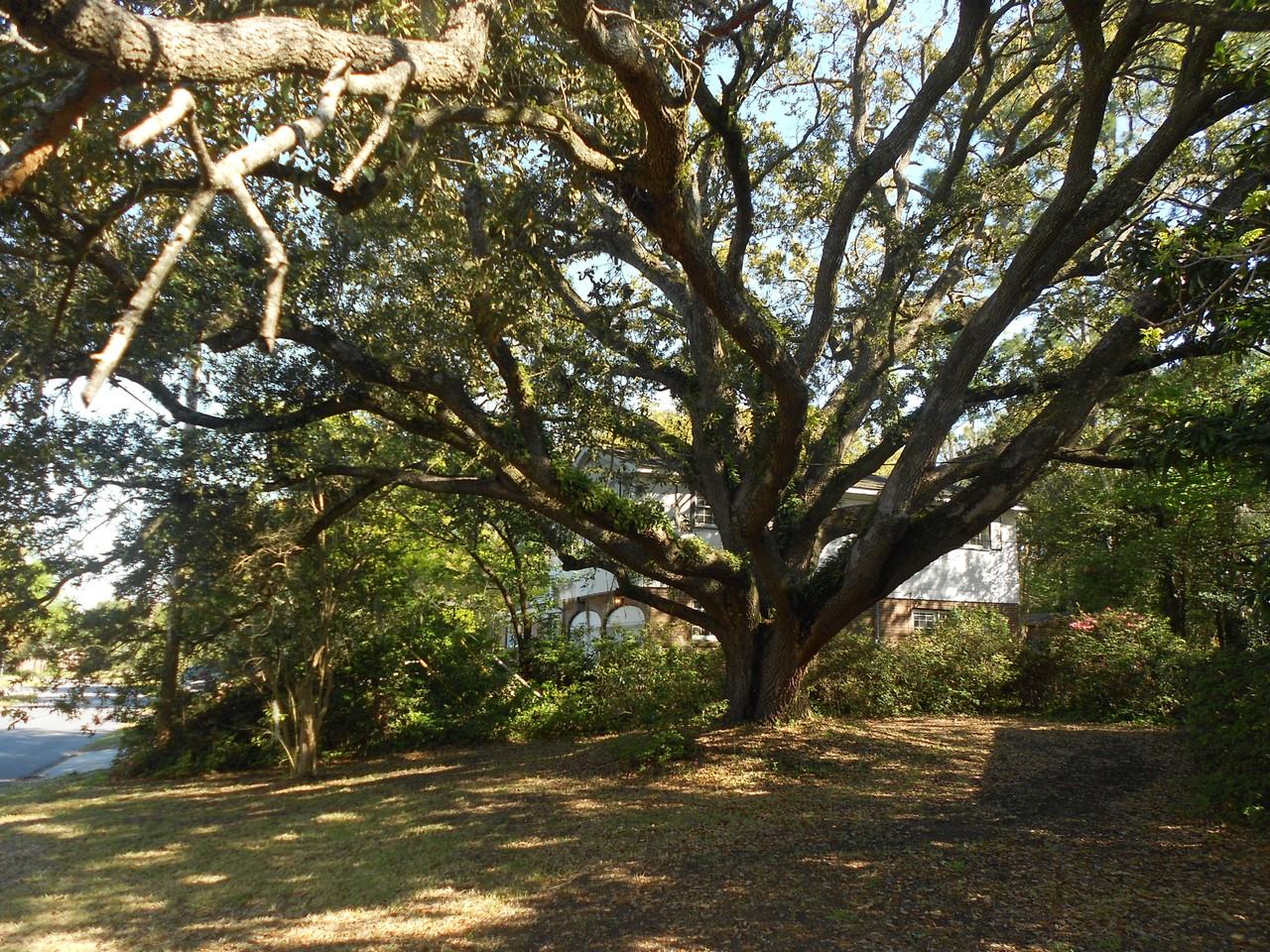 5102 Princeton Street - Photo 3 of 34