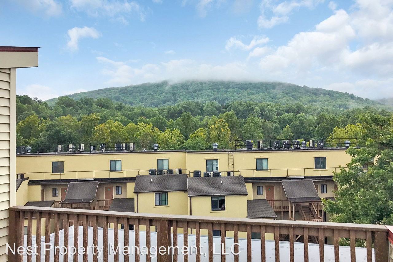 1013 Linden Ave Apt V - Photo 2 of 12