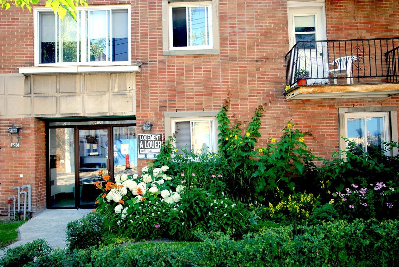 3205 Avenue Ellendale, Montréal, QC H3S 1W7 1 Bedroom Apartment for