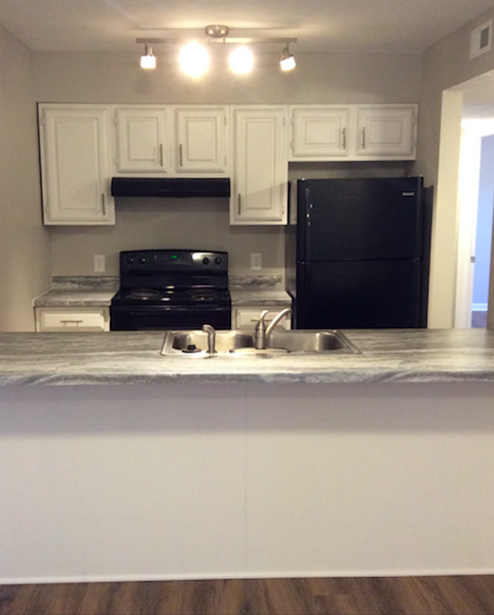 Chestnut Hill - Photo 3 of 8