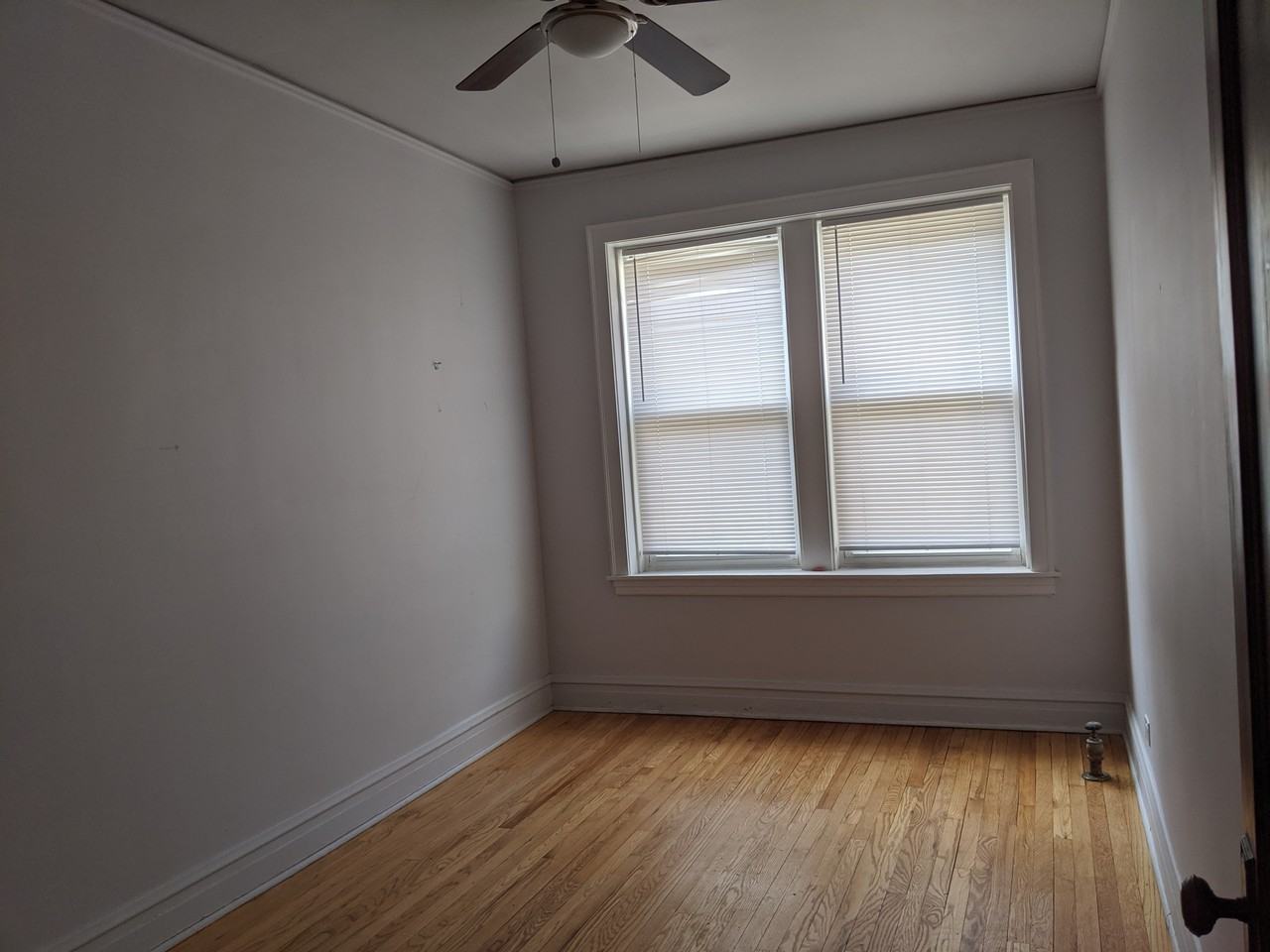 4826 West Addison Street #1S - Photo 3 of 7