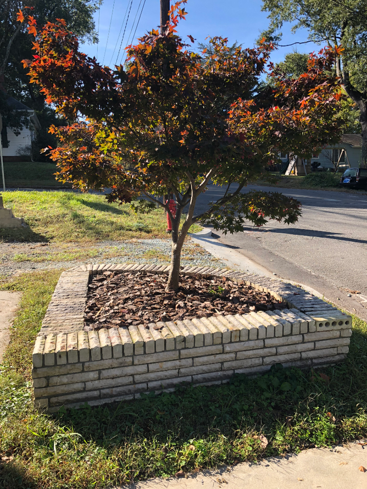 817 Arnette Ave - Photo 3 of 45