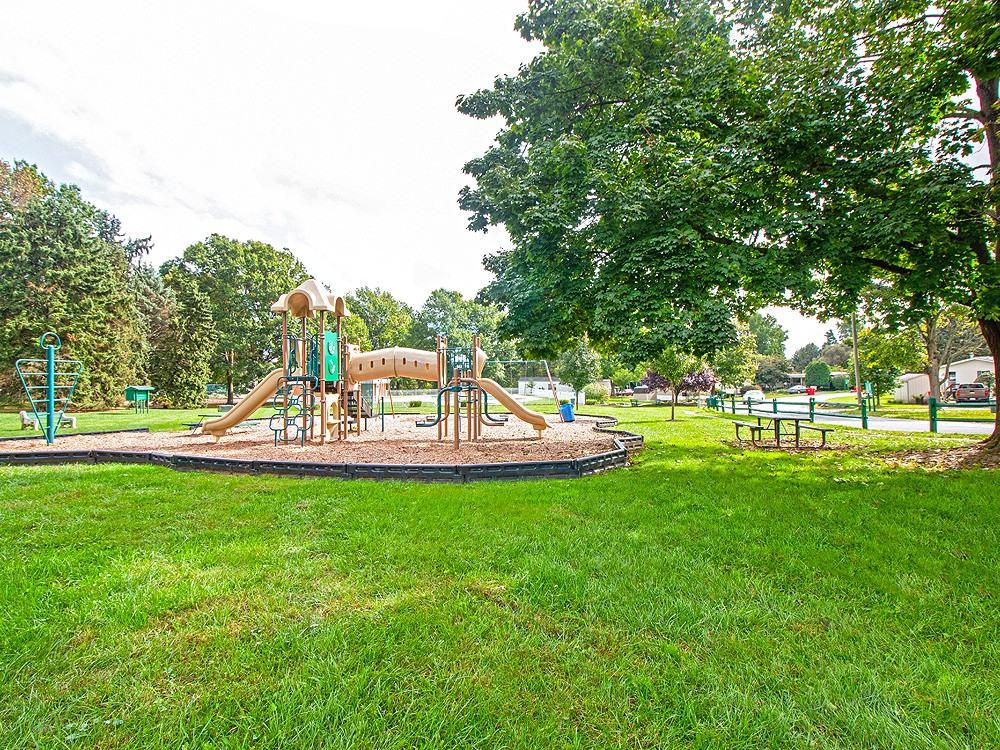 8810 Turkey Ridge Rd - Photo 5 of 12