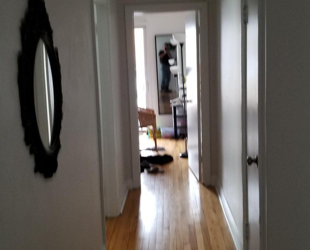 320 Rue Le Moyne Ouest #3 - Photo 5 of 9