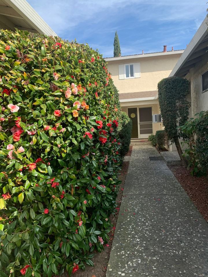 1062 Topaz Ave - Photo 2 of 31