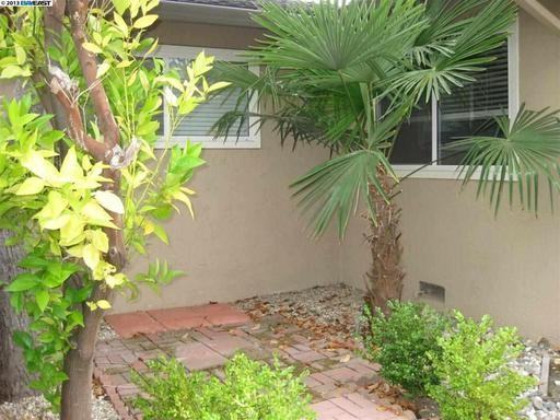 1309 Claiborne Dr - Photo 3 of 9