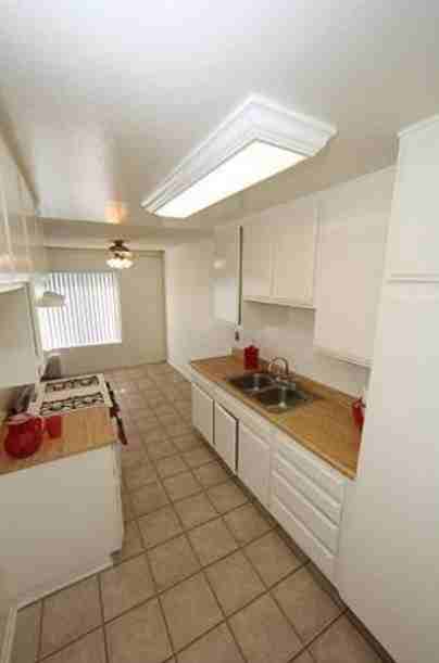 Charleston Gardens - Photo 3 of 9