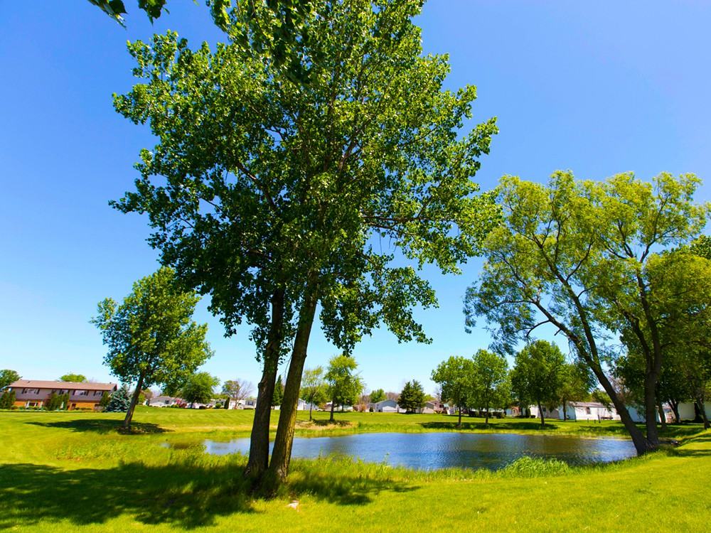 1 Eagle Ln - Photo 3 of 8