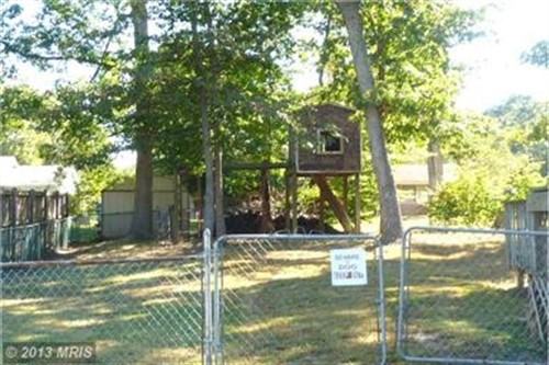 26004 Hills Dr - Photo 3 of 12