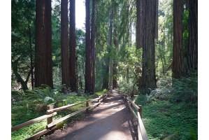 Preserve at Marin Apartment Homes - Photo 2 of 23