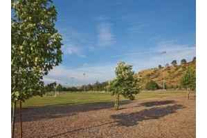 Canyon Terrace Apartments - Photo 3 of 17