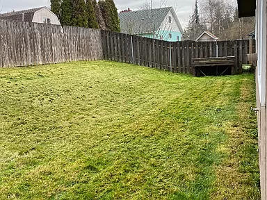 Lovely Move In Ready 3Bd House For Rent - Photo 3 of 9