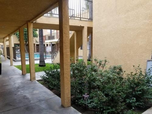 7901 Duchess Terrace - Photo 3 of 17