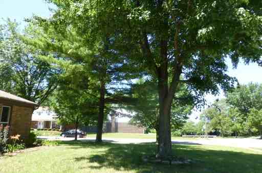 909 Yorkhaven Rd - Photo 2 of 2